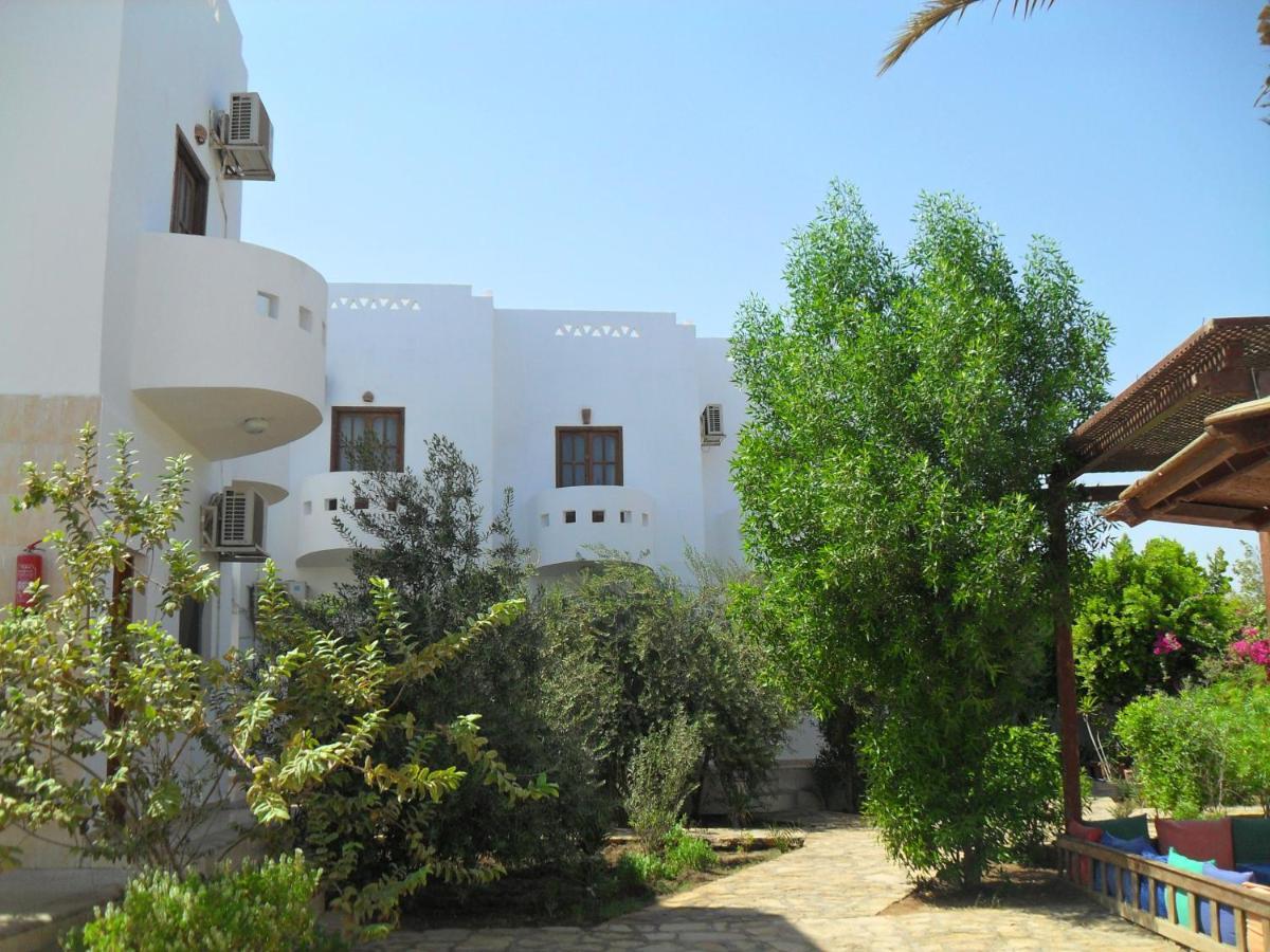 Alaska Camp & Hotel Dahab Room photo